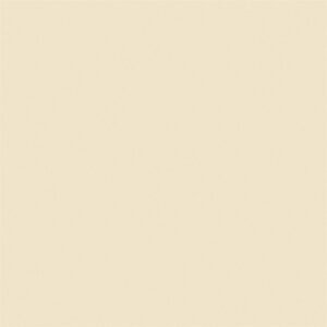Somany Robusto Crema Glossy Floor & Wall Tile 600 x 600 mm (South Plant - TT)