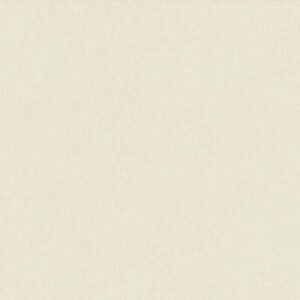 Somany Valor Delmon Beige Matt Floor & Wall Tile 600 x 600 mm (South Plant - TT)