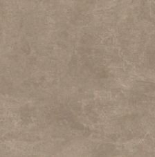 Somany Valor Grefine Mushroom Matt Floor & Wall Tile 600 x 600 mm (South Plant - TT)