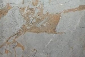 Somany Vibon Elsen Grey Light 3 Variants Polished Floor & Wall Tile 600 x 1200 mm (South Plant - Sanvi)
