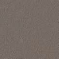Somany Zion Brown Matt Floor & Wall Tile 600 x 600 mm (South Plant - TT)